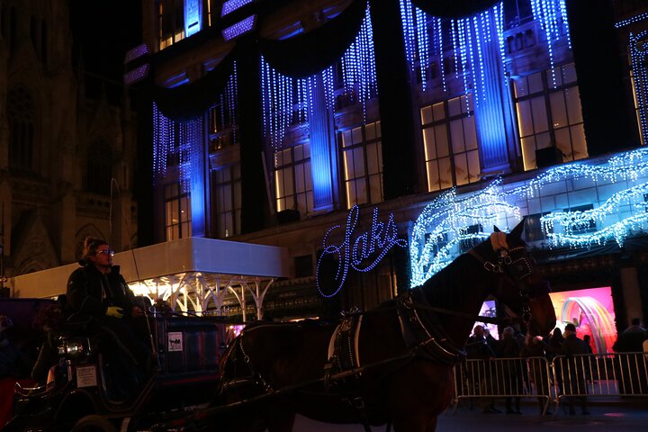 NYC Christmas Lights Special Horse Carriage Ride - thumb 4