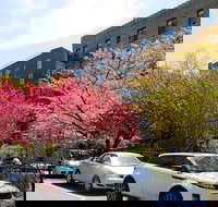 Buffalo Scavenger Hunt Roaming Buffalo - USA Accommodation