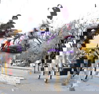 Horse Carriage Tour in New York City's Central Park Small Loop - USA Accommodation