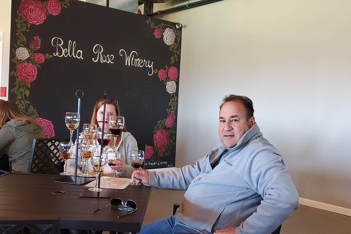 Niagara All American Wine Tour (11 People Max) - thumb 2