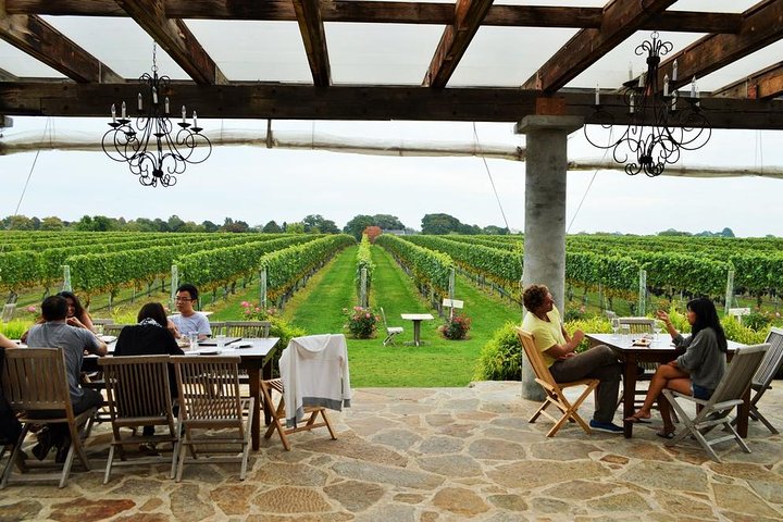 Long Island Winery Tour - thumb 0