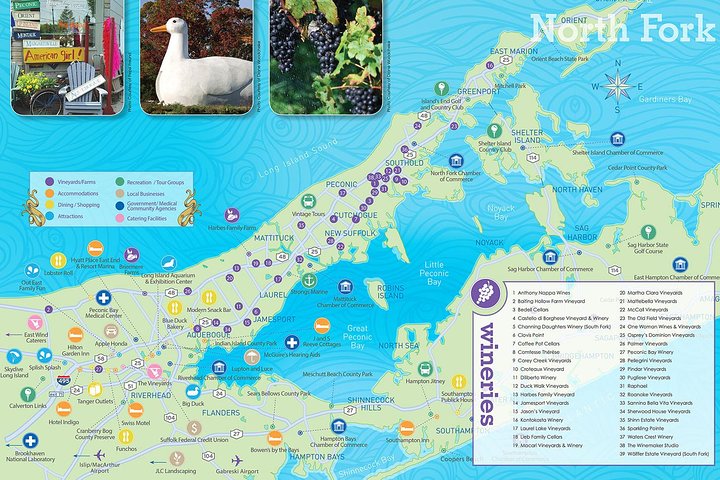 Long Island Winery Tour - thumb 5