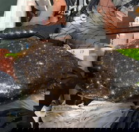 Guided Kayak Fishing Tour - Tourism Bookings