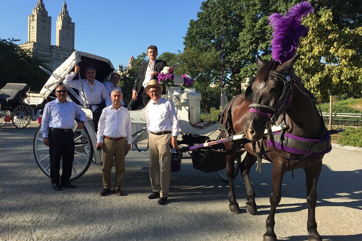 NYC Central Park Horse And Carriage Ride: Medium Ride 30 Min - thumb 1