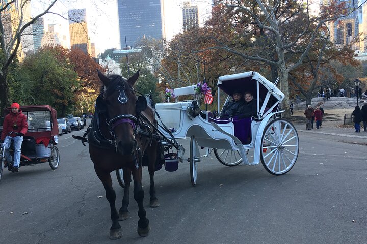 NYC Central Park Horse And Carriage Ride: Medium Ride 30 Min - thumb 2