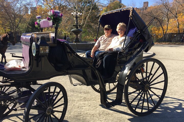NYC Central Park Horse And Carriage Ride: Medium Ride 30 Min - thumb 3