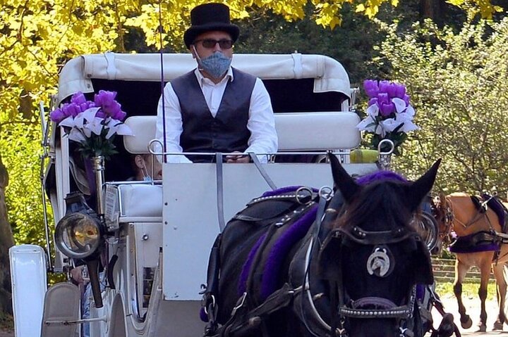 NYC Central Park Horse And Carriage Ride: Medium Ride 30 Min - thumb 4