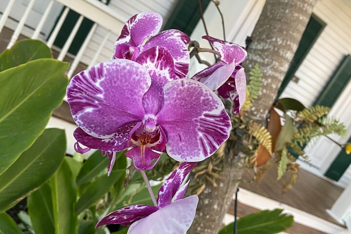 Southhampton Shuffle Scavenger Hunt - thumb 0