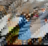 1 hour Central Park Tour - Tourism Bookings