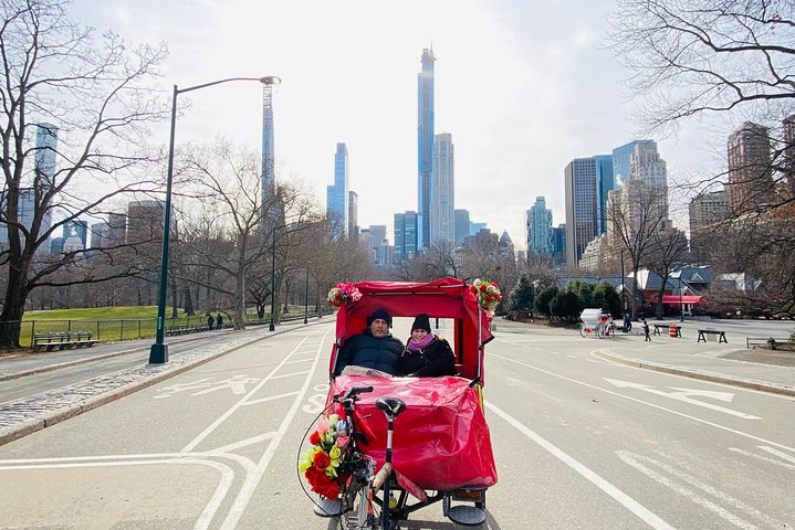 Private Pedicab Ride Whole Central Park In 2 Hours - thumb 0