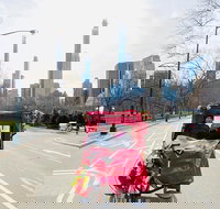 Private Pedicab Ride Whole Central Park in 2 Hours - Tourism Bookings