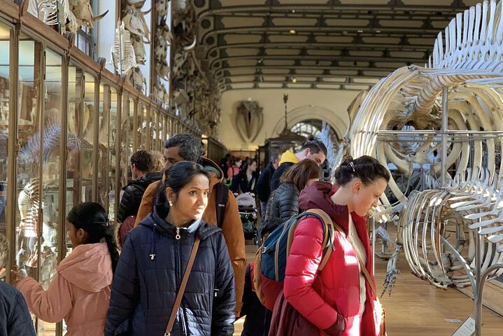 NYC American Museum Of Natural History Private Family Tour - thumb 3