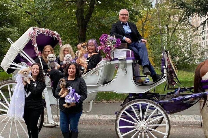 NYC Central Park Horse And Carriage Ride - thumb 0