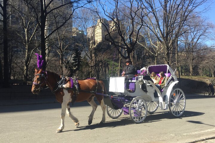 NYC Central Park Horse And Carriage Ride - thumb 1