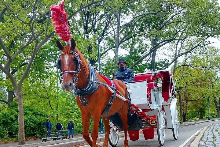 NYC Central Park Horse And Carriage Ride - thumb 2