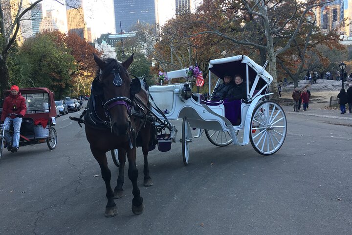 NYC Central Park Horse And Carriage Ride - thumb 4