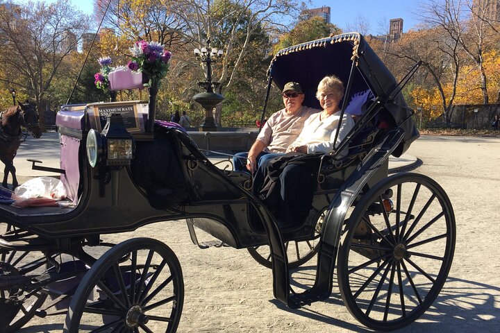 NYC Central Park Horse And Carriage Ride - thumb 5