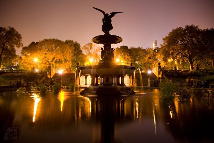 NYC Central Park Night Time Photography Tour - thumb 0