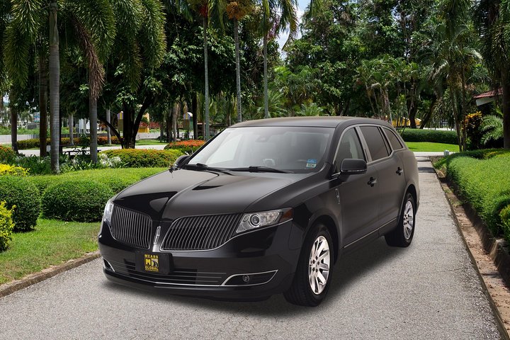 Private New York City Transfer: LGA Airport To New York City Hotel - thumb 4