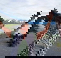 Wilderness Wildlife Glacier Experience from Anchorage - USA Accommodation