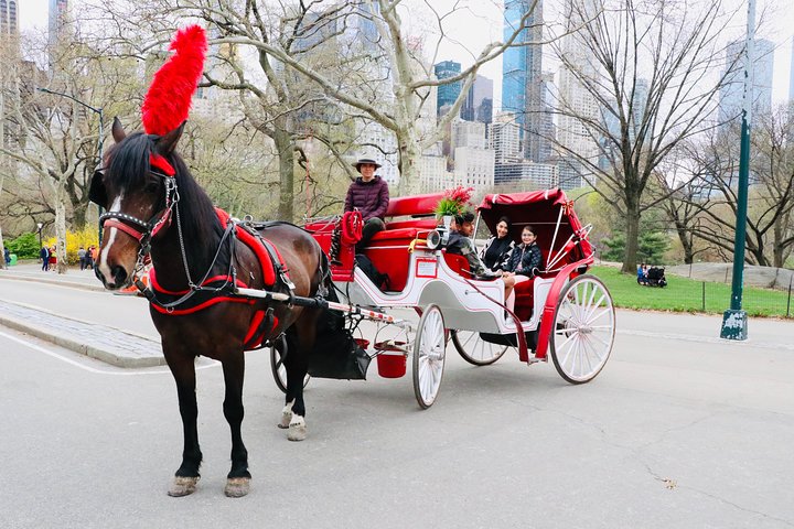 Standard Central Park Horse Carriage Ride (Long Loop - 45 Minutes) - thumb 1