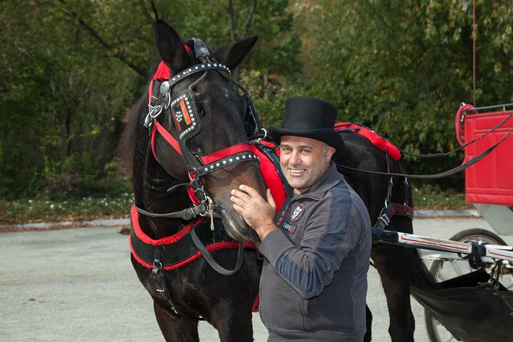 Standard Central Park Horse Carriage Ride (Long Loop - 45 Minutes) - thumb 3