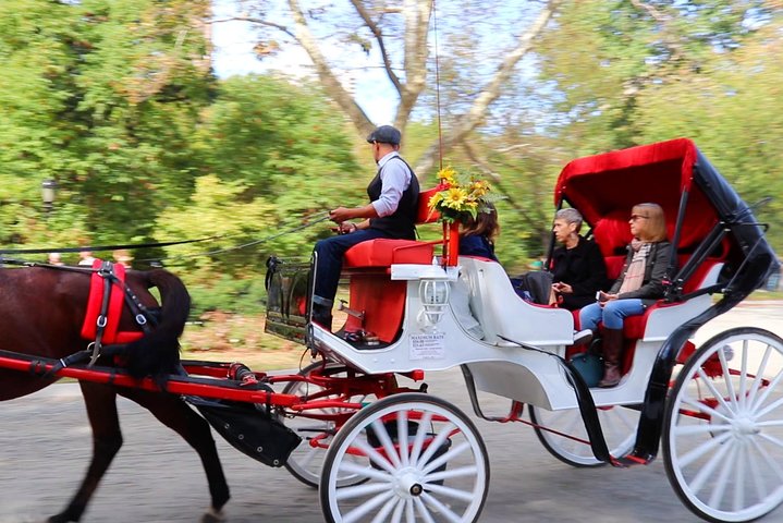 Standard Central Park Horse Carriage Ride (Long Loop - 45 Minutes) - thumb 4