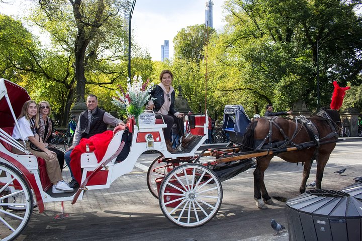 Standard Central Park Horse Carriage Ride (Long Loop - 45 Minutes) - thumb 5