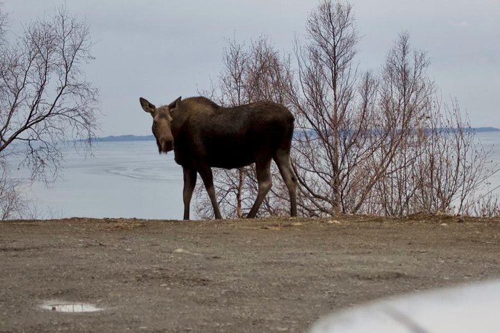 Winter All-In-One - thumb 2