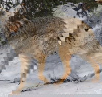 Summer All-In-One - USA Accommodation