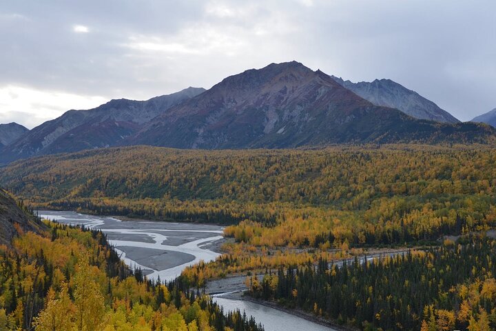 Summer All-In-One - thumb 1