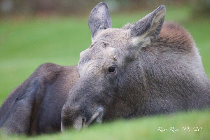 Summer All-In-One - thumb 3