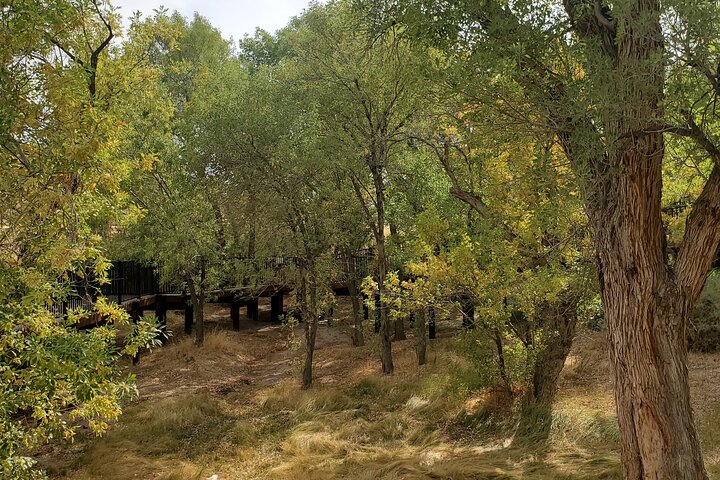 Red Rock Canyon Tour W/Private Option (2-6 People) - thumb 2