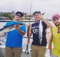 4-Hour Day or Night-Time Reef Bottom Fishing Charter in Fort Lauderdale - China Accommodation
