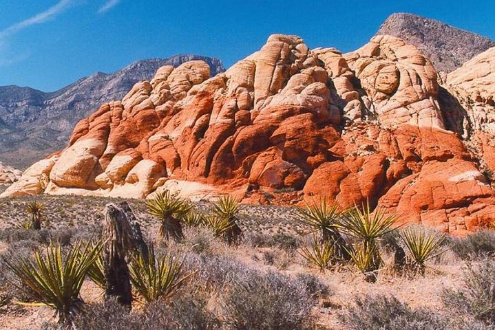 Red Rock Canyon And Seven Magic Mountains Tour With Ghost Town Option - thumb 1