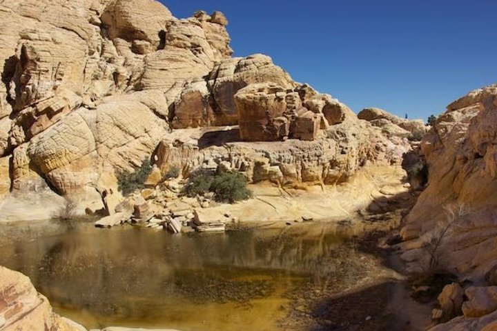 Red Rock Canyon And Seven Magic Mountains Tour With Ghost Town Option - thumb 2