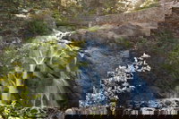 Colorado Springs Co Tourism Bookings