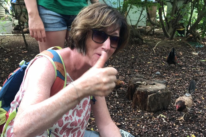 Oahu Highlights, Turtles & North Shore - Small Group Circle Island Tour - thumb 1