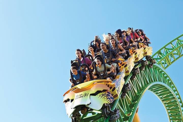 Tampa Bay CityPASS - thumb 0