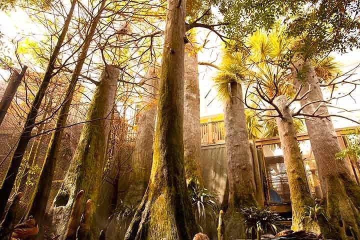 Tampa Bay CityPASS - thumb 1