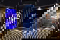 Orlando Fl Tourism Bookings