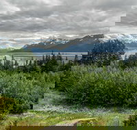 Alaska Wildlife Day Tour with Free Hotel Pickup - Tourism Bookings