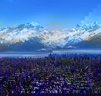 Alaska Wildlife Conservation Center Express - USA Accommodation