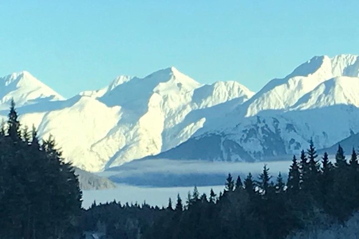 Bear Feeding At The Alaska Wildlife Conservation Center - thumb 1