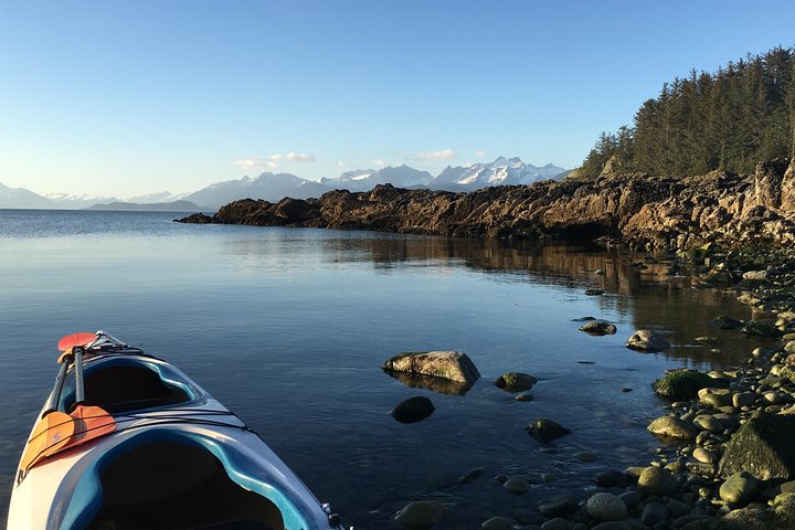 Paddle With Whales! Kayak Adventure - thumb 2