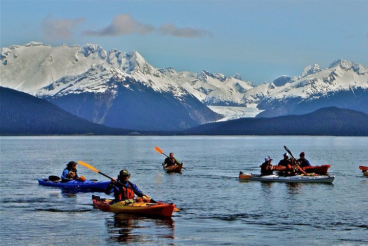 Paddle With Whales! Kayak Adventure - thumb 5