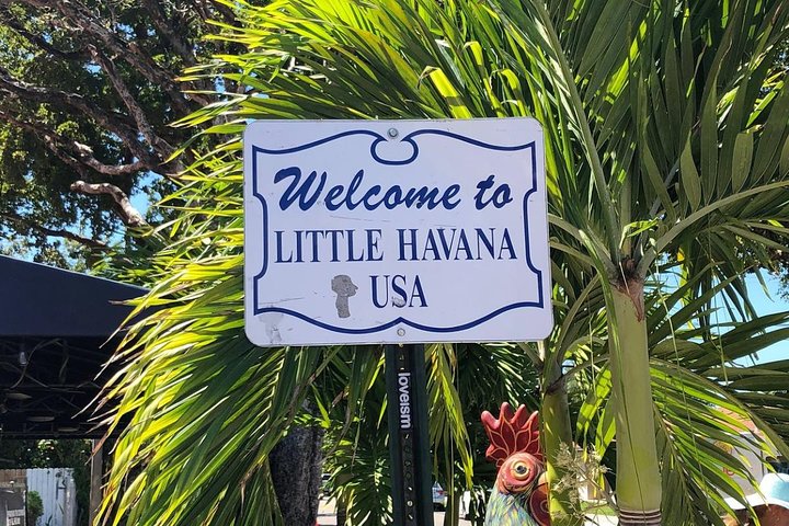 City Half Day Tour Of Miami By Bus With Sightseeing Cruise - thumb 2