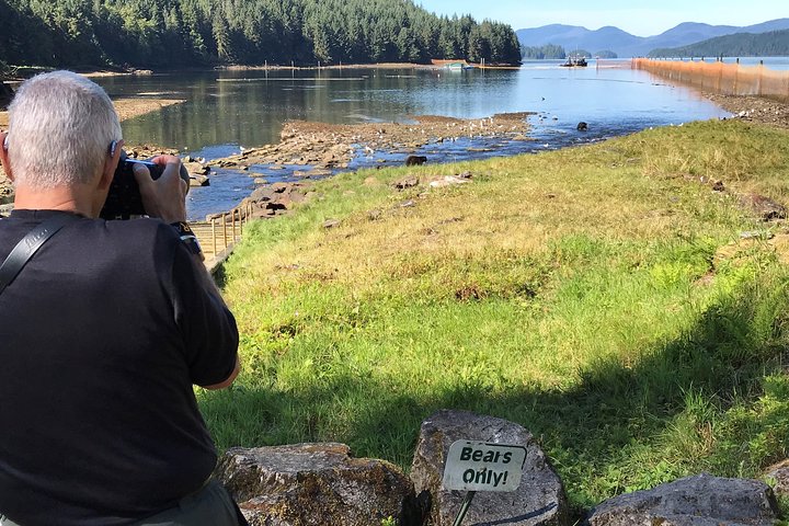 Neets Bay Bear Adventure & Flightseeing - thumb 1