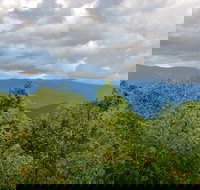 Guided Horseback Ride through Flame Azalea and Fern Forest - Tourism Bookings