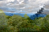 Asheville Nc Tourism Bookings